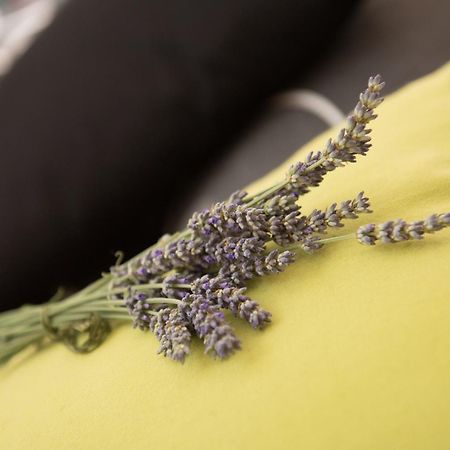 לובראן Apartments Villa Zara מראה חיצוני תמונה